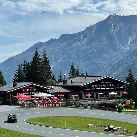 Schoenmoos Alpine