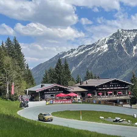 Schoenmoos Alpine *